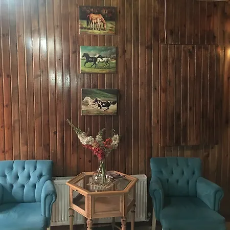 Ozkonak Hotel Ankara